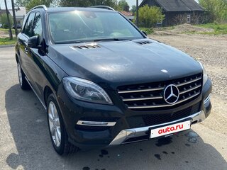 2014 Mercedes-Benz M-Класс 300 III (W166), чёрный, 2500000 рублей, вид 3
