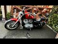 2010 Harley-Davidson Sportster 883, красный, 550000 рублей