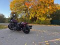 2024 Indian Chief, оранжевый, 1450000 рублей - вид 2
