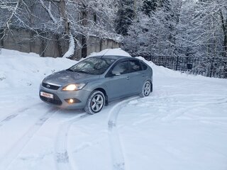 2010 Ford Focus II Рестайлинг, серый, 600000 рублей, вид 2