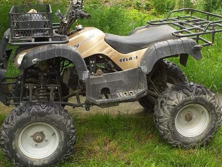 2020 Rato Hammer 200L, бежевый, 70000 рублей, вид 2