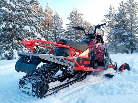 2025 Irbis SF200L, красный, 262300 рублей, вид 5