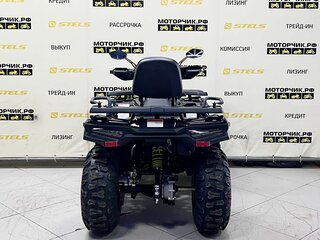 2025 Bashan Explorer 300, чёрный, 299000 рублей, вид 4