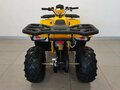 2025 Avantis Hunter 200 Big, жёлтый, 222100 рублей - вид 7