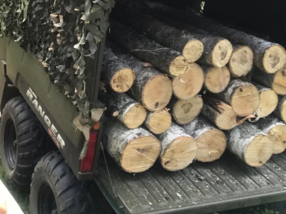 2006 Polaris Ranger 6x6, зелёный - вид 11