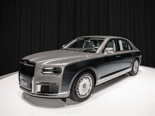2025 Aurus Senat I, серый, 53635000 рублей, вид 1