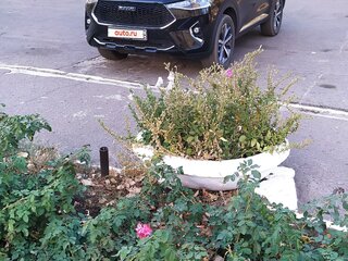2020 Haval F7x I, чёрный, 2400000 рублей, вид 1