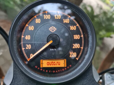 2015 Harley-Davidson Sportster 883, белый, 790000 рублей, вид 2