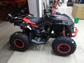 2019 BRP Can-Am Renegade 1000, красный - вид 3