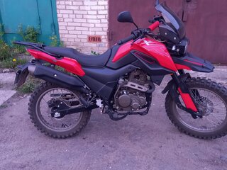 2024 Shineray Fireguard 250 Trail, красный, 150000 рублей, вид 2