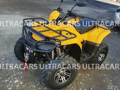 2026 Irbis ATV 200U, жёлтый, 235196 рублей, вид 4