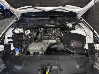 2021 Ford Mustang VI Рестайлинг, белый, 3750000 рублей, вид 4