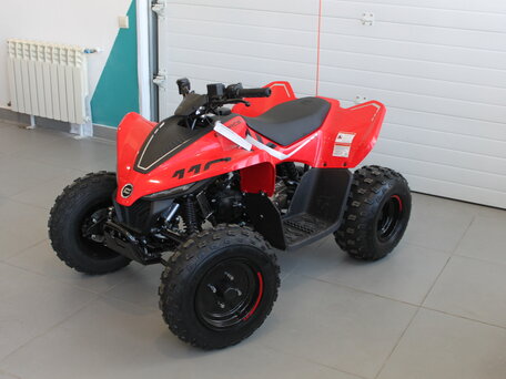 2024 CFMoto CFORCE 110, красный, 299900 рублей, вид 3