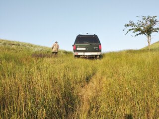 1993 Ford Explorer I, зелёный, 700000 рублей, вид 3