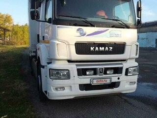 2018 КамАЗ 5490, белый, 4000000 рублей, вид 2