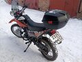2020 Racer Panther, оранжевый, 105000 рублей - вид 8