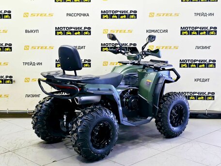 2025 Bison ATV 250F, зелёный, 179000 рублей, вид 5