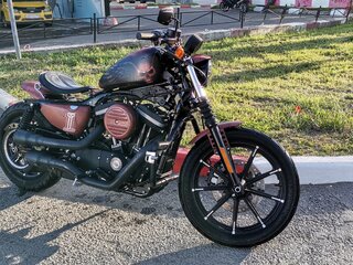 2017 Harley-Davidson Sportster 883, коричневый, 918000 рублей, вид 1
