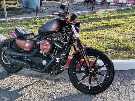 2017 Harley-Davidson Sportster 883, коричневый, 918000 рублей, вид 1