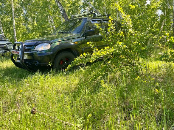 2013 Chevrolet Niva I Рестайлинг, серебристый - вид 2