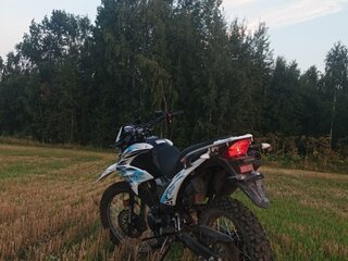 2023 Motoland Enduro 250, голубой, 135000 рублей, вид 3