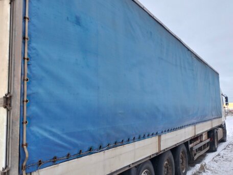 2006 DAF XF 95, белый, 3600000 рублей, вид 5