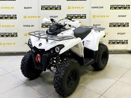 2025 Bison ATV200, белый, 218990 рублей, вид 1