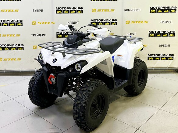 2025 Bison ATV200, белый