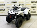2025 Bison ATV200, белый
