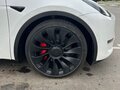 2022 Tesla Model Y Performance I, белый, 3390000 рублей - вид 6