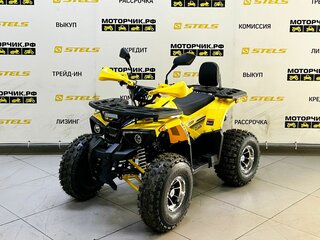 2025 Bison Miravel 125, жёлтый, 89900 рублей, вид 1