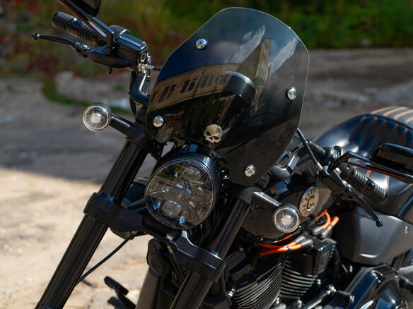 2019 Harley-Davidson FXDR 114, чёрный, 3000000 рублей - вид 2