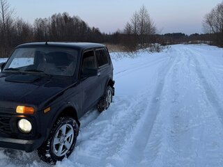 2009 Lada (ВАЗ) 2121 (4x4) I Рестайлинг, коричневый, 400000 рублей, вид 2
