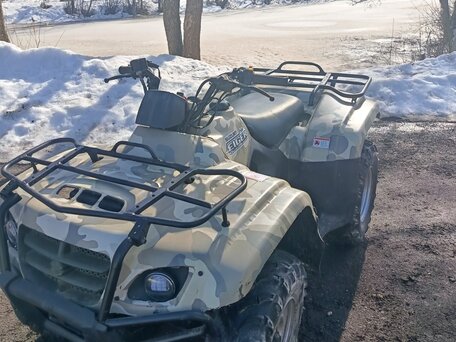 2007 Suzuki EIGER, зелёный, 290000 рублей, вид 3