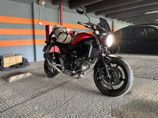 2017 Suzuki SV 650, красный, 650000 рублей, вид 3