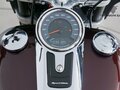 2018 Harley-Davidson Sport Glide, коричневый, 1377000 рублей - вид 11