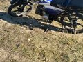 2024 Мотоальфа A1, синий, 30000 рублей - вид 3