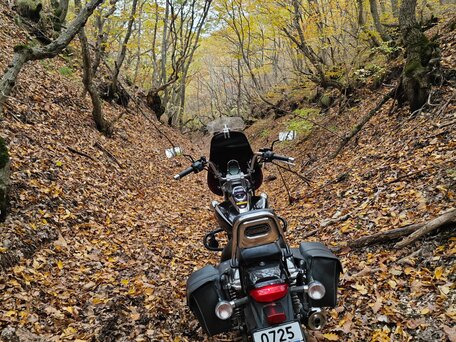 2020 Bajaj Avenger, чёрный, 190000 рублей, вид 3