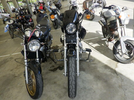 2008 Harley-Davidson Sportster 1200, чёрный, 499000 рублей, вид 3