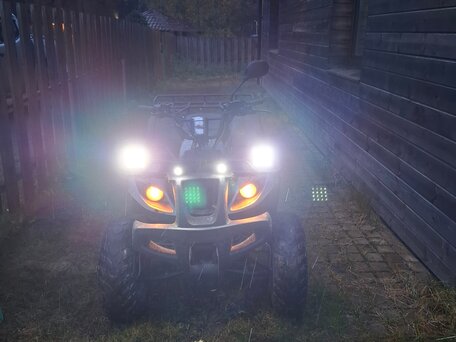 2015 Wels ATV 300, серебристый, 75000 рублей, вид 3