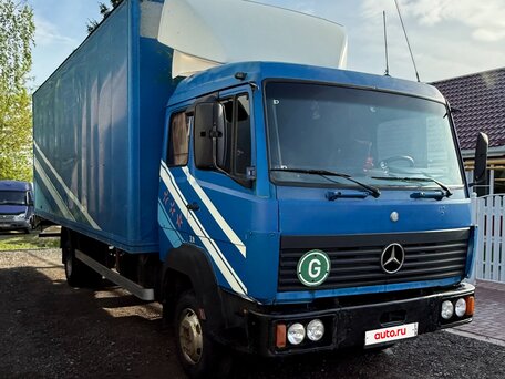 1990 Mercedes-Benz 814, синий, 980000 рублей, вид 2