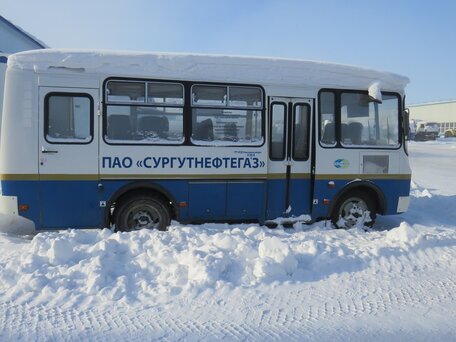 2020 ПАЗ 3205, белый, 812520 рублей, вид 1
