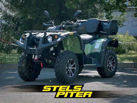 2023 Stels ATV-650YL Leopard, зелёный, 619000 рублей, вид 1