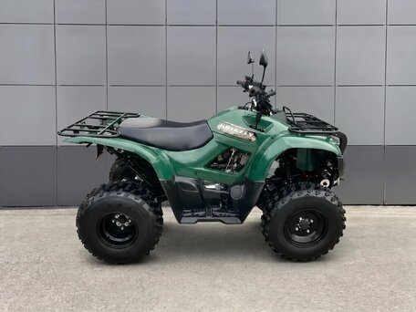 2026 Yamaha Grizzly 300, зелёный, 251300 рублей, вид 2