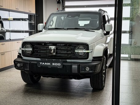 Tank 300 I