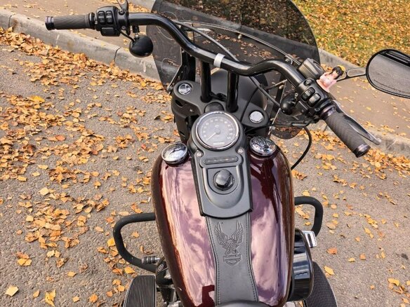 2012 Harley-Davidson Dyna Switchback, пурпурный, 850000 рублей - вид 11
