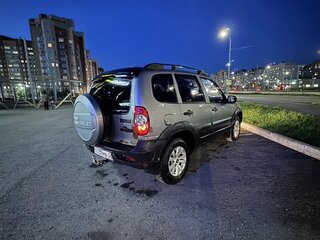 2009 Chevrolet Niva I Рестайлинг, серый, 250000 рублей, вид 2
