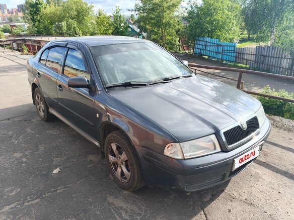 2007 Skoda Octavia I (A4) Рестайлинг, серый, 350000 рублей - вид 2