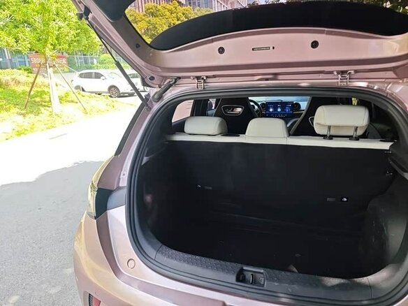 2023 BYD Dolphin 44.9 kWh I, розовый, 1650000 рублей - вид 7