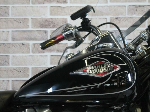 2009 Harley-Davidson Heritage, чёрный, 826000 рублей - вид 16